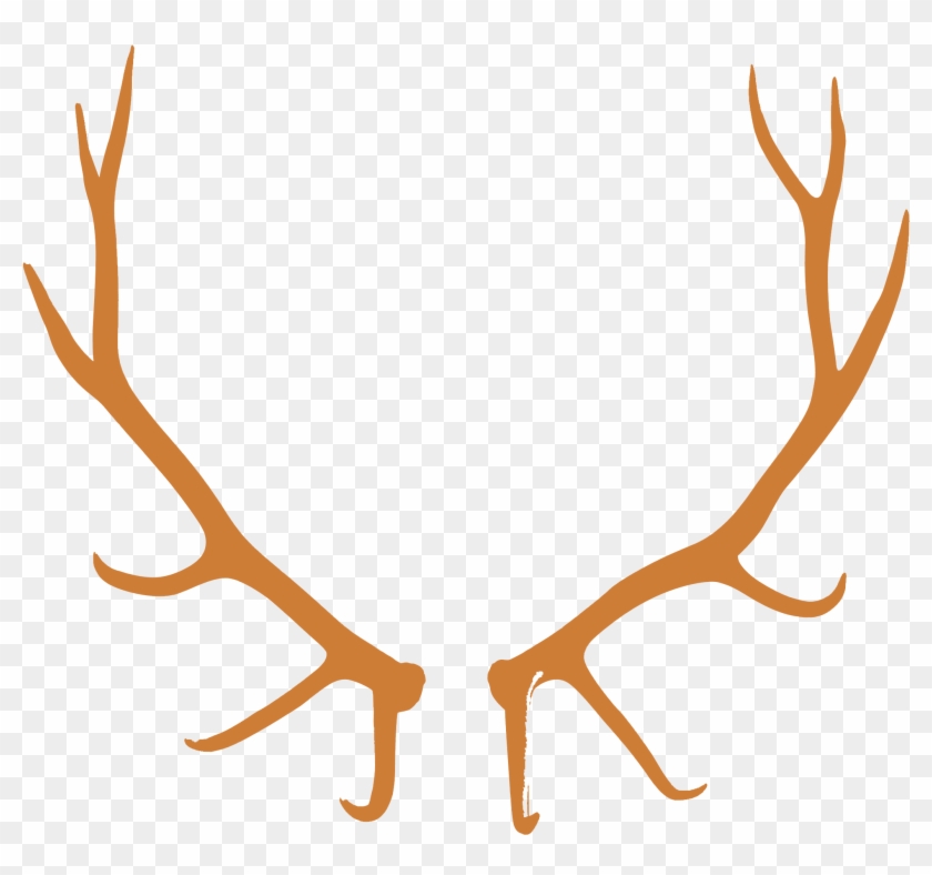 Antlers Png For Kids - Bull Elk European Mount Clipart