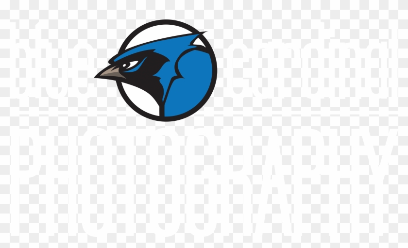 U580676298 O852082417 111 - Graphic Design Clipart