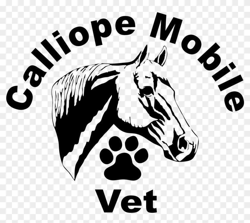 Quarter Horse Head Silhouette , Png Download - Holistic Cannabis Network Logo Clipart