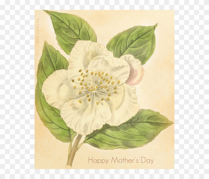 Sunday, May 10, Clipart #2380391