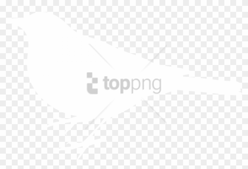 Free Png White Bird Black Background Png Image With - White Bird Black Background Clipart #2380937