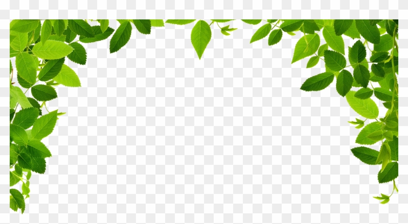 Jungle Vines Png - Leaves Border Clipart Png Transparent Png #2381162