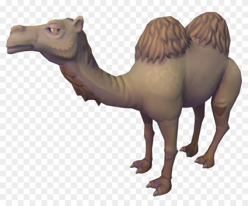 Arabian Camel Clipart #2381541