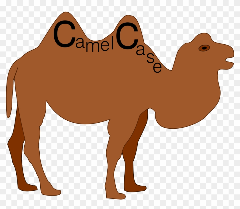Camel - Camelcase Pascalcase Clipart