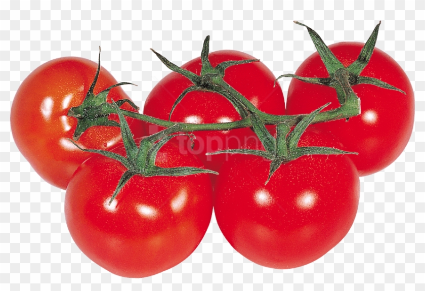 Free Png Download Red Tomatoes Png Images Background - Клипарт Помидоры Clipart #2381930