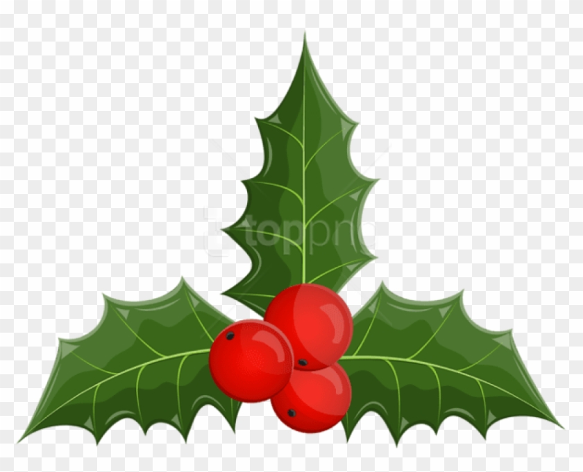 Free Png Christmas Holly Mistletoe Png - Clip Art Transparent Png
