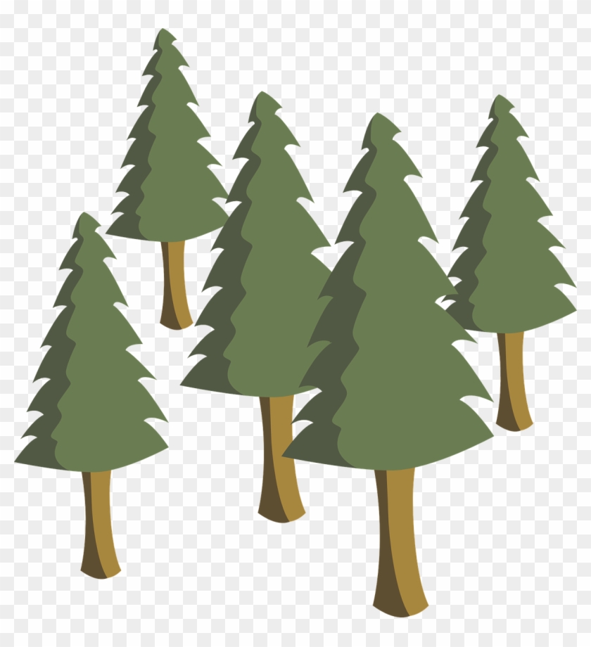 Trees Pines Pine Trees Tree Png Image - Pine Trees Illustration Png Clipart