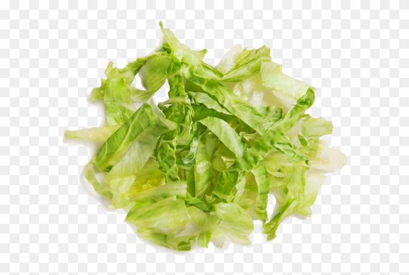 Lettuce Clipart Sliced - Sliced Lettuce Transparent - Png Download #2382952