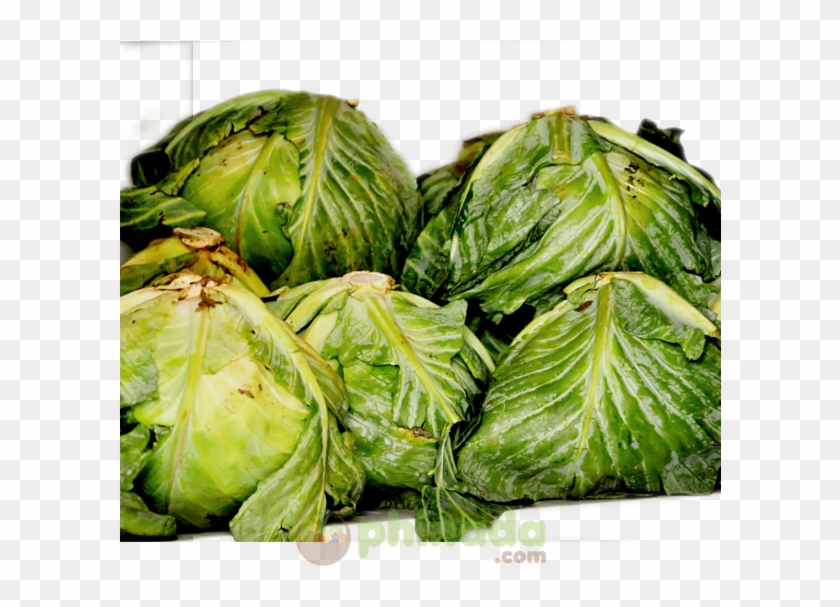 Iceburg Lettuce , Png Download - Iceburg Lettuce Clipart #2383093