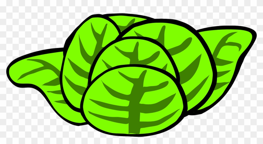 Salad Food Vegetables Lettuce Png Image - Salad Clipart Transparent Png