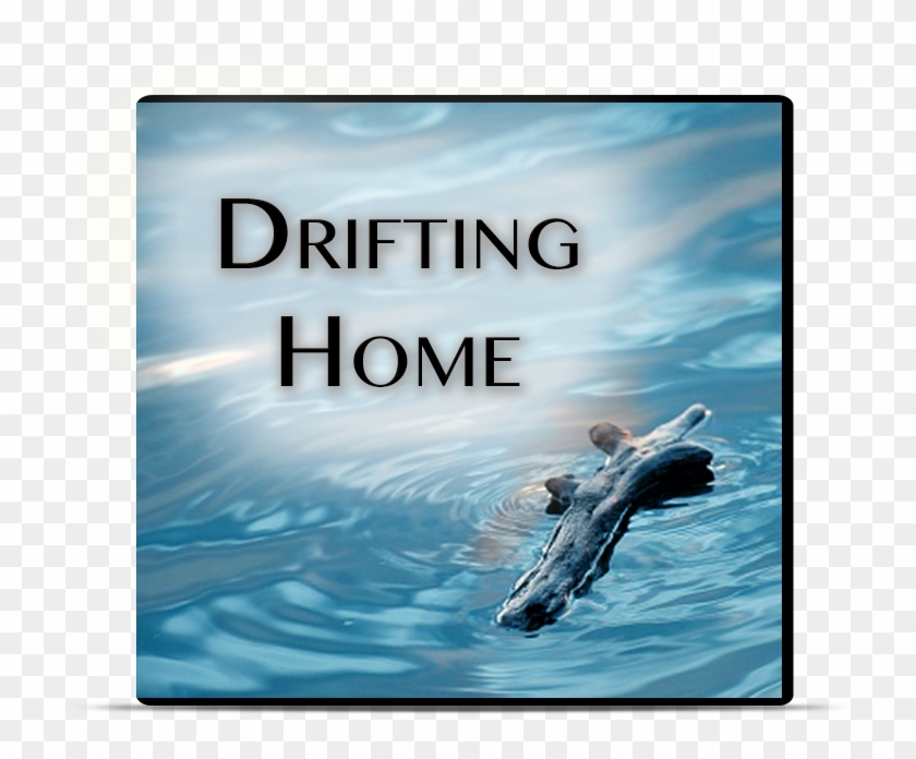 Piece Of Driftwood In Water , Png Download - Floating Driftwood Clipart