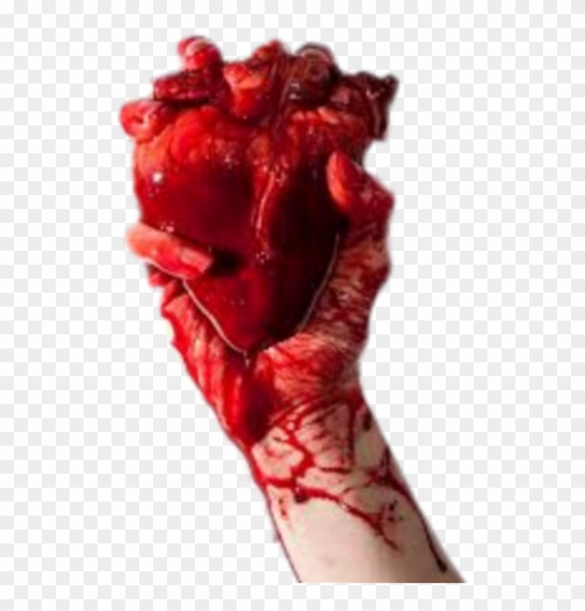 #humanheart #hand #handholding #blood #heart - Real Heart Of Human Clipart