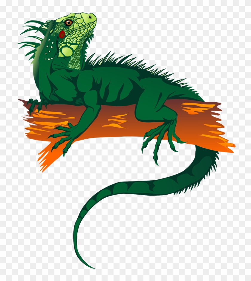 Iguanas Loki S - Iguana Clipart Png Transparent Png #2384322