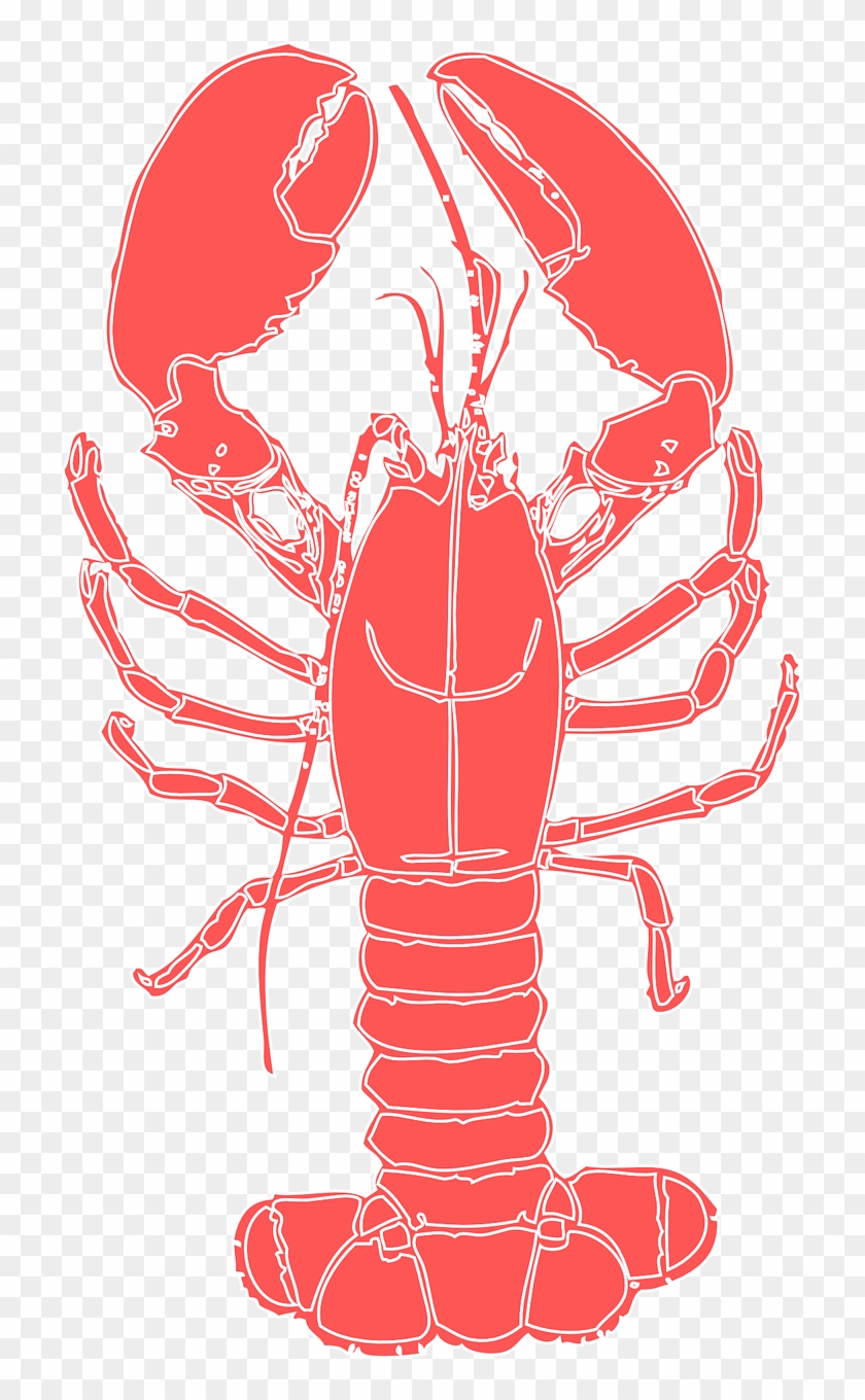 Lobster Crustacean Crab Crayfish Png Image - Lobster Clipart Transparent Png #2384492