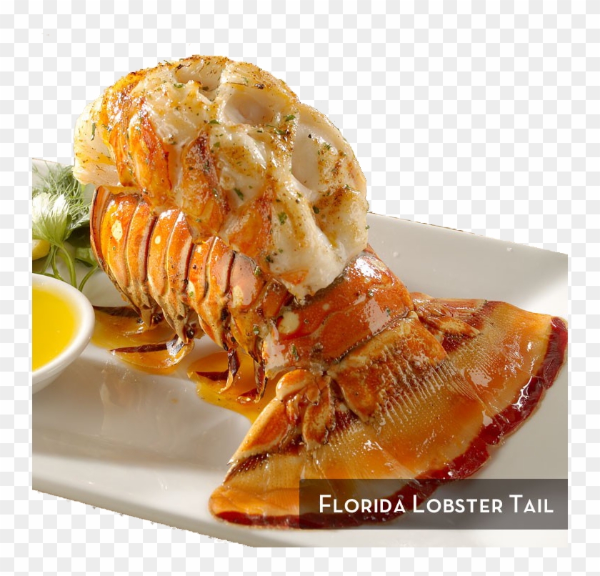 Florida Lobster Tail 1 3 - Florida Lobster Tail Clipart #2384618