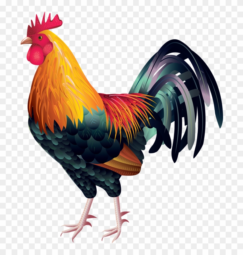 Png Animals Clip Art Pinterest And - Rooster Vector Free Download Transparent Png
