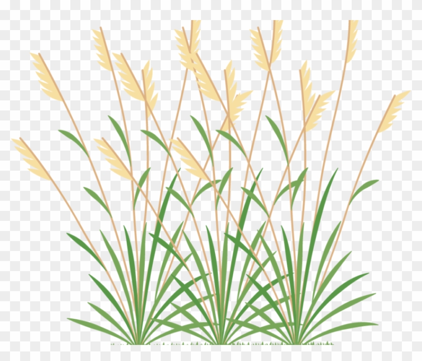 Icon 2 Weeds - Weeds Icon Clipart