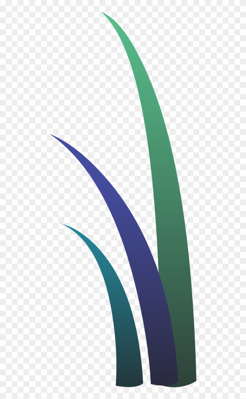 Grasses Plants Leaves Tall Png Image - Graphic Design Clipart