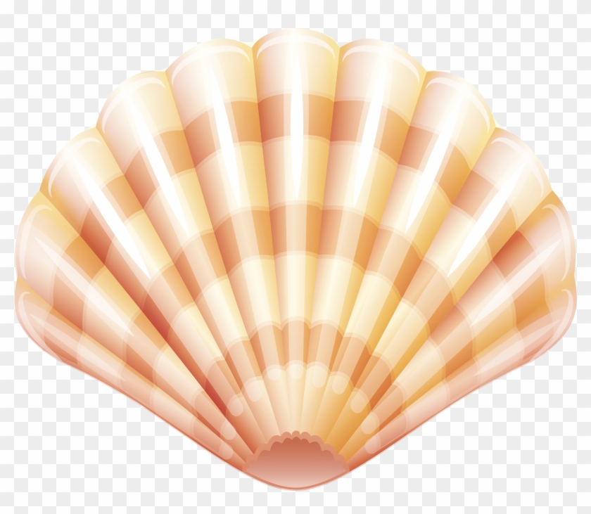 Sea Clam Shell Png Clip Art Image - Shell Transparent Png #2385154