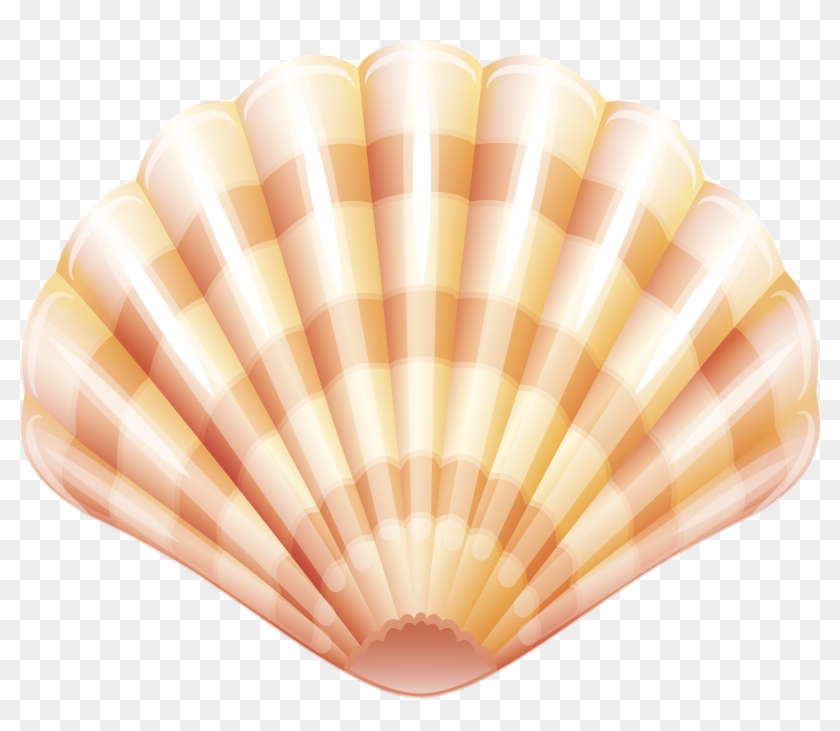 Sea Clam Shell Png Clip Art Image - Shell Transparent Png