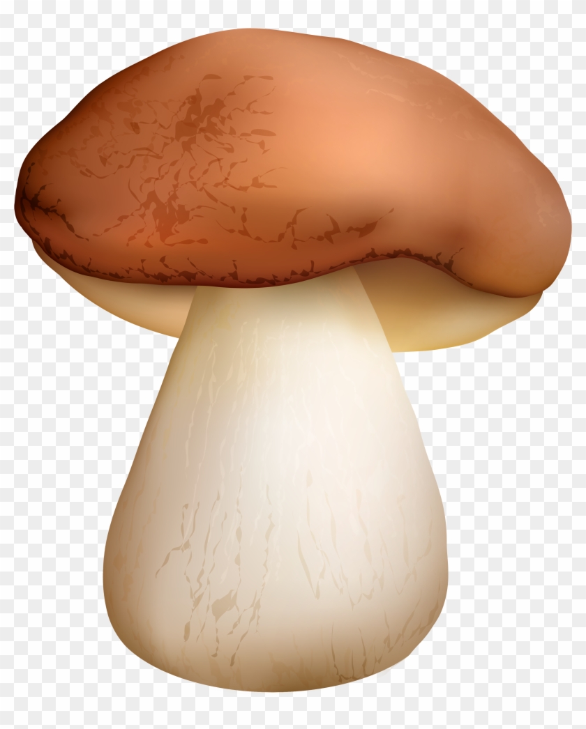 Boletus Mushroom Png Clipart - Boletus Png Transparent Png #2385290