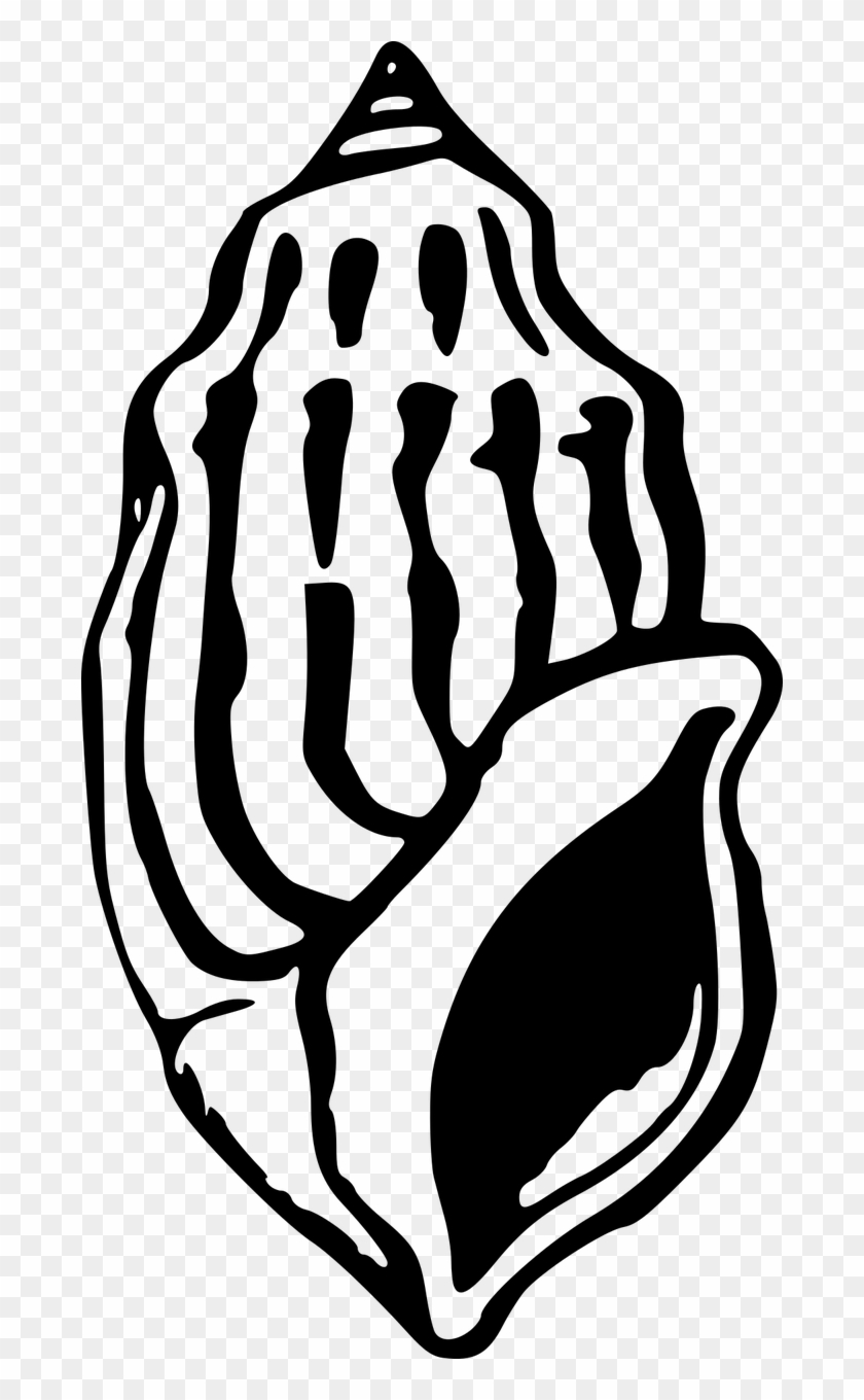 Beach Sea Seashell Shell Png Image - ทะเล Clipart Black And White Transparent Png