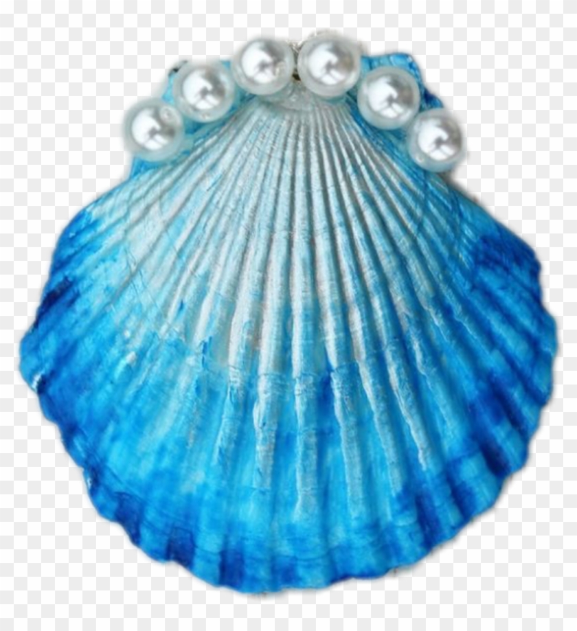 #shell #pretty #cute #cuteness #freetoedit - Muschel Kette Selber Machen Clipart