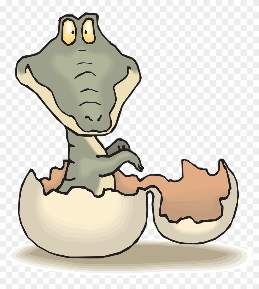 Alligator Hatch Baby Egg Shell Png Image - Crocodile Hatching Clipart Transparent Png #2385747