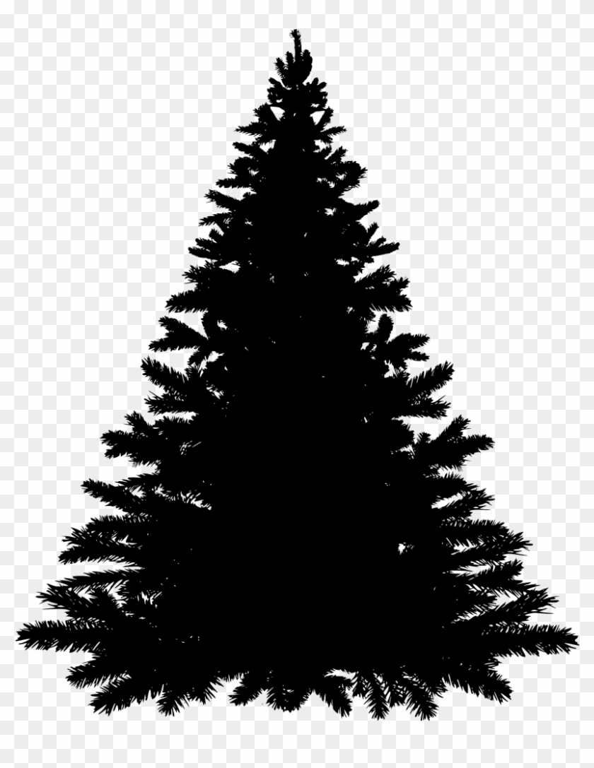 Balsam Fir Tree Silhouette , Png Download - Needle Christmas Tree Svg Clipart #2385865