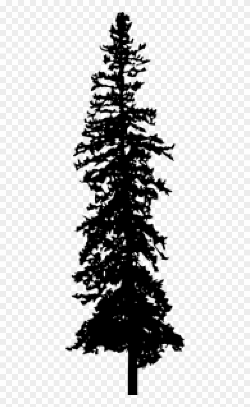 Pine Tree Silhouette - Christmas Tree Clipart #2385992