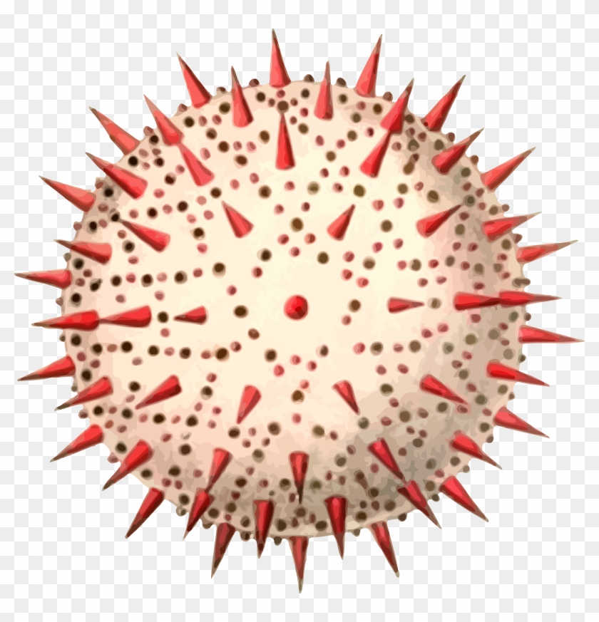 Png - Pollens Png Clipart #2387889