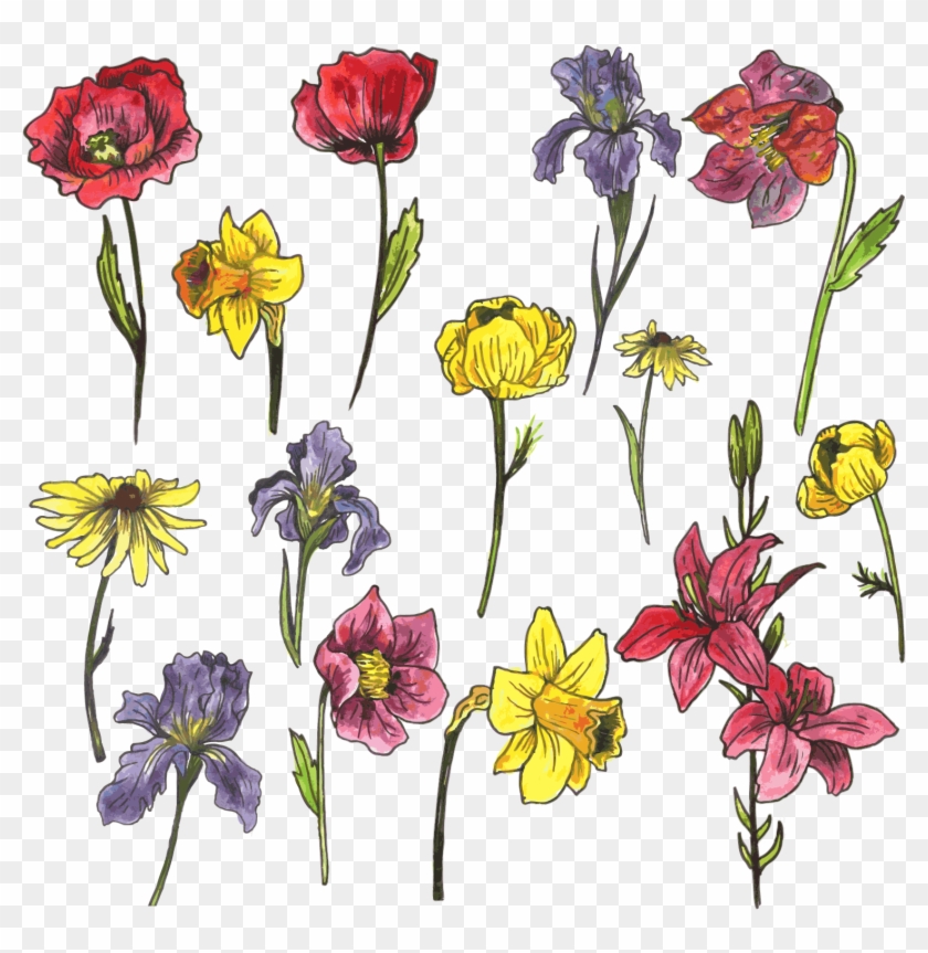 Watercolor Painting Euclidean Vector Flower - Flores Vector Free Clipart #2388087