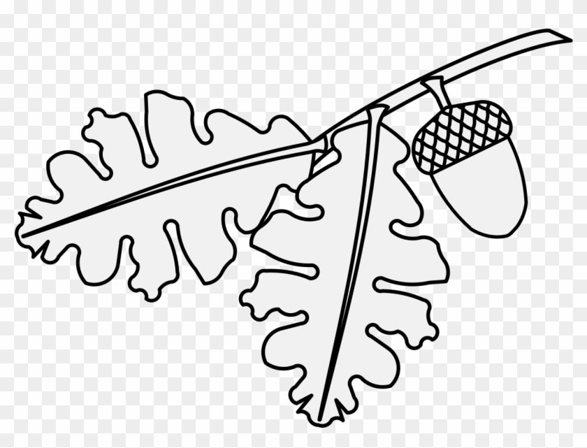 Acorn Slipped & Leaved - Line Art Clipart