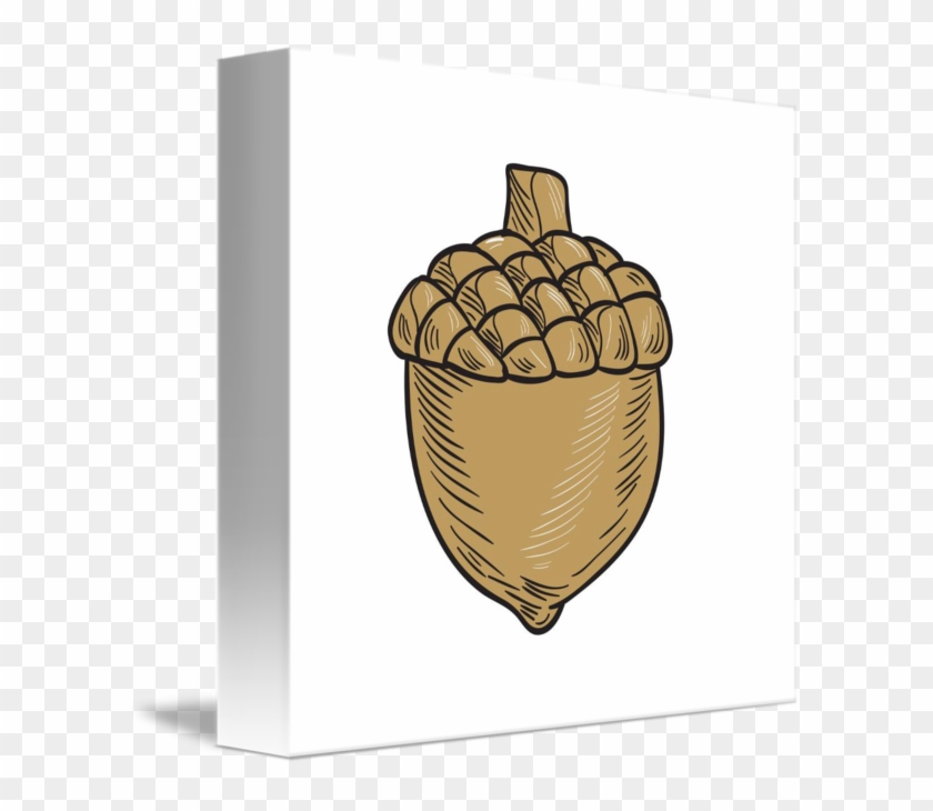 Acorn Drawing - Fast Food Clipart #2389595