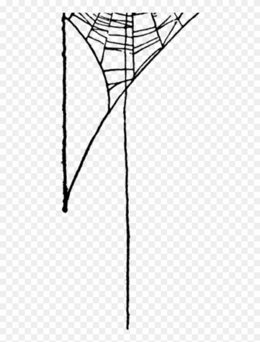 Spider Web Png Index Of Imagesthumb222spider Web Clip - Spider Web Clip Art Transparent Png #2390040