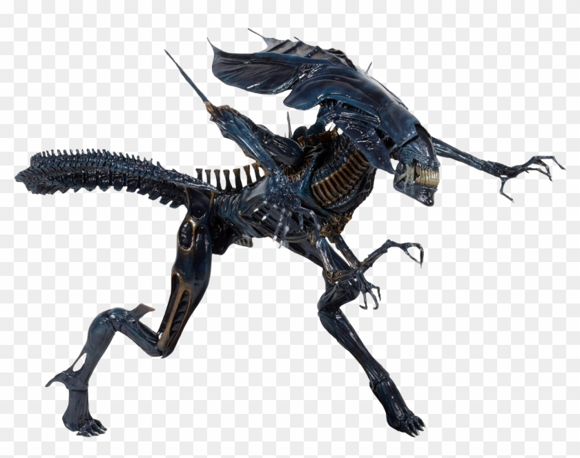 Alien Queen Neca , Png Download - Alien Alien Vs Depredador Clipart