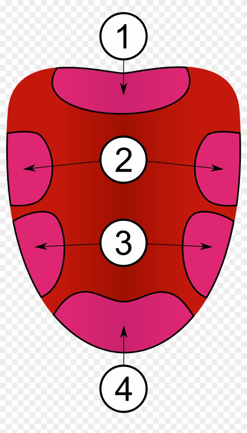 Map Wikipedia - Parts Of The Tongue Grade 3 Clipart