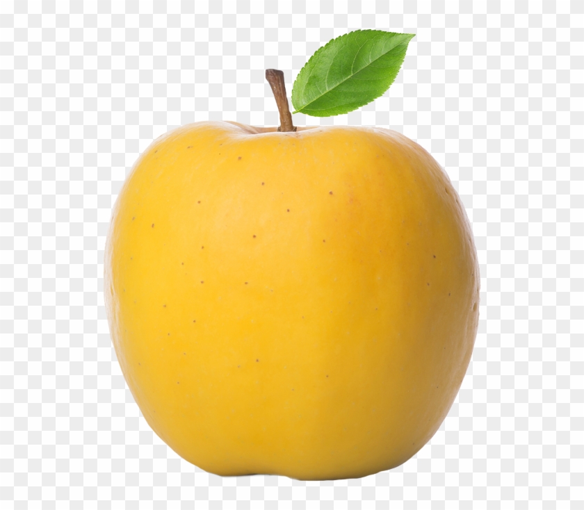 Yellow Transparent Apples For Sale - Yellow Apple Clipart