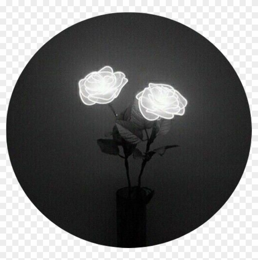 Tumblr Aesthetic Black Roses Rose - Light Tumblr Black And White Clipart