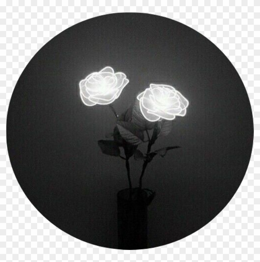 Tumblr Aesthetic Black Roses Rose - Light Tumblr Black And White Clipart #2392629