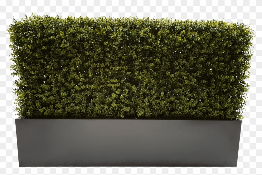 100cm Grey Planter - Hedge Clipart #2393106
