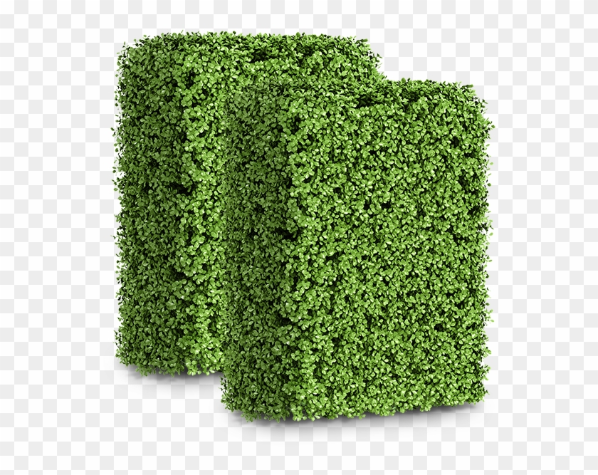 Small Boxwood Artificial Hedge Clipart
