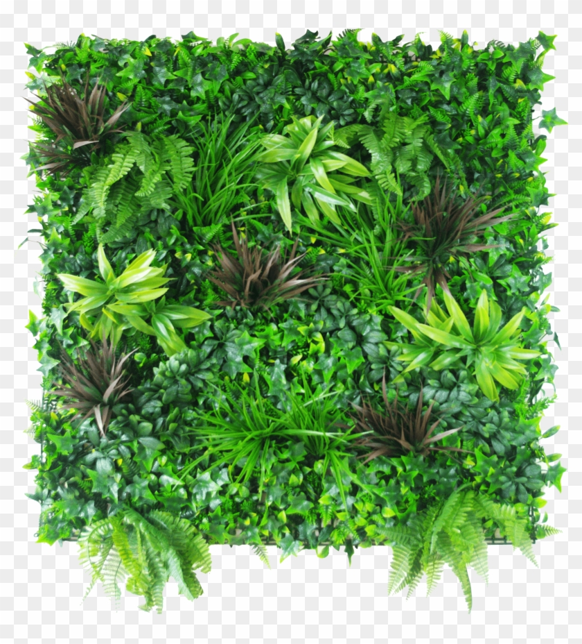 Coastal Greenery Vertical Garden - Vertical Plant Wall Png Clipart #2393319