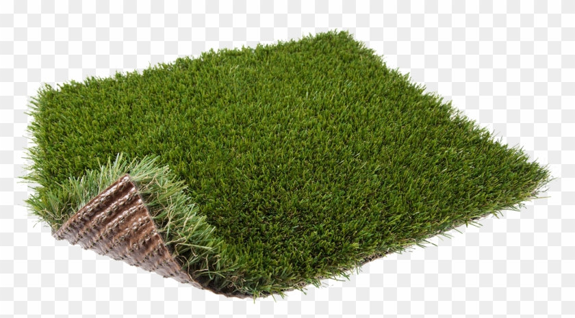 Our Best Selling Grass By Far, A Great Grass For Any - Lawn Clipart #2393488