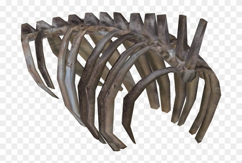 Rib Cage Drawing - Skeleton Clipart