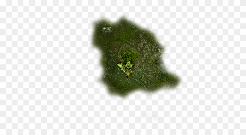193k Moss 06 Feb 2009 - Chlorophyta Clipart