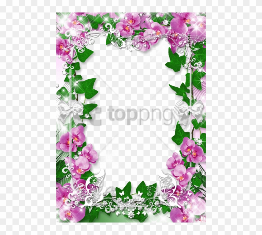 Free Png Orchid Flower Frame Png Image With Transparent - Orchids Frames And Border Design Clipart