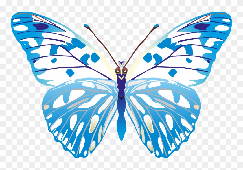 Butterfly Png Images Png - Blue Butterfly Vector Png Clipart #2394933