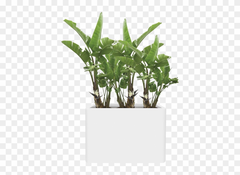 Home > Collection > Pure Soft Brick Divider - Elho Pure Cone High 55 Zwart Clipart #2395894