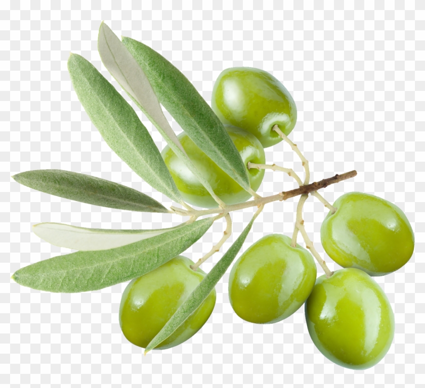 Olive Png Clipart #2397920
